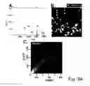 Fig. 35 - Devices and Methods for Producing and Analyzing Microarrays