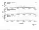 Fig. 44 - Devices and Methods for Producing and Analyzing Microarrays