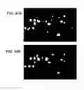 Fig. 46 - Devices and Methods for Producing and Analyzing Microarrays