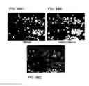 Fig. 49 - Devices and Methods for Producing and Analyzing Microarrays