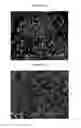 Fig. 18 - SPRAY-DRIED COLLECTIN COMPOSITIONS AND PROCESS FOR PREPARING THE SAME