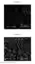Fig. 19 - SPRAY-DRIED COLLECTIN COMPOSITIONS AND PROCESS FOR PREPARING THE SAME