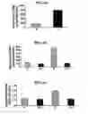 Fig. 07 - CORE 2GLCNAC-T INHIBITORS