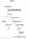 Fig. 09 - CORE 2GLCNAC-T INHIBITORS