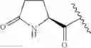 Fig. 69 - CYCLODEXTRIN-BASED POLYMERS FOR THERAPEUTIC DELIVERY
