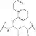 Fig. 75 - CYCLODEXTRIN-BASED POLYMERS FOR THERAPEUTIC DELIVERY