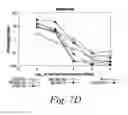 Fig. 11 - COMPOSITIONS AND METHODS FOR THE TREATMENT OF CANCER