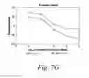 Fig. 14 - COMPOSITIONS AND METHODS FOR THE TREATMENT OF CANCER