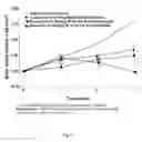 Fig. 10 - METHODS FOR TREATING BREAST CANCER