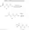 Fig. 37 - Deuterium-substituted xanthine derivatives and methods of use