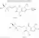 Fig. 63 - Deuterium-substituted xanthine derivatives and methods of use