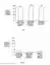 Fig. 02 - METHODS AND COMPOSITIONS FOR DETERRING ABUSE OF ORALLY ADMINISTERED PHARMACEUTICAL PRODUCTS
