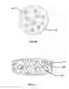 Fig. 06 - METHODS AND COMPOSITIONS FOR DETERRING ABUSE OF ORALLY ADMINISTERED PHARMACEUTICAL PRODUCTS