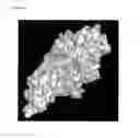 Fig. 03 - Therapy of autoimmune colitis using a TIP60 inhibitor