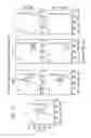Fig. 10 - Therapy of autoimmune colitis using a TIP60 inhibitor