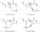 Fig. 09 - Macrocyclic inhibitors of hepatitis C virus