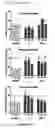 Fig. 12 - Analgesic compounds, compositions, and uses thereof