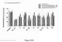 Fig. 23 - Analgesic compounds, compositions, and uses thereof