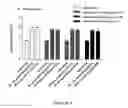 Fig. 24 - Analgesic compounds, compositions, and uses thereof