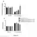 Fig. 27 - Analgesic compounds, compositions, and uses thereof