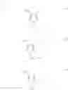 Fig. 53 - Microbiocides