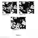 Fig. 02 - ANTI-INFLUENZA AGENTS