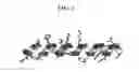 Fig. 02 - Facially amphiphilic polyaryl and polyarylalkynyl polymers and oligomers and uses thereof