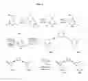 Fig. 03 - Facially amphiphilic polyaryl and polyarylalkynyl polymers and oligomers and uses thereof