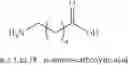 Fig. 22 - POLYMER-CARBOHYDRATE-LIPID CONJUGATES