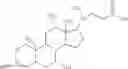 Fig. 28 - POLYMER-CARBOHYDRATE-LIPID CONJUGATES