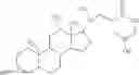 Fig. 33 - POLYMER-CARBOHYDRATE-LIPID CONJUGATES