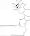 Fig. 48 - POLYMER-CARBOHYDRATE-LIPID CONJUGATES