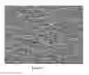 Fig. 03 - Co-continuous heterophase polymer compositions containing high melt strength polypropylene for extrusion coating