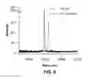 Fig. 07 - Monodisperse random coil proteins and bioconjugates thereof