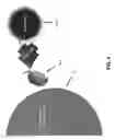 Fig. 05 - LIGHT ACTIVATED ASSOCIATION OF SPLIT GFP