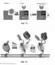 Fig. 12 - LIGHT ACTIVATED ASSOCIATION OF SPLIT GFP