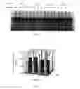 Fig. 03 - Method for extracting recombinant human serum albumin from transgenic rice grain