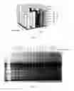 Fig. 04 - Method for extracting recombinant human serum albumin from transgenic rice grain