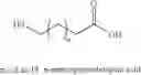 Fig. 12 - Polymer-carbohydrate-lipid conjugates