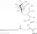 Fig. 52 - Polymer-carbohydrate-lipid conjugates