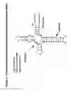 Fig. 03 - Conjugates and compositions for cellular delivery