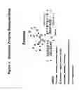 Fig. 04 - Conjugates and compositions for cellular delivery