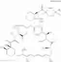 Fig. 49 - Process for the preparation of rapamycin derivatives