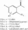 Fig. 06 - Tetrahydroquinoline derivatives