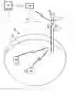 Fig. 01 - Transdermal antenna