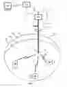 Fig. 02 - Transdermal antenna