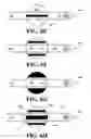 Fig. 08 - METHODS FOR OPTOACOUSTIC GUIDANCE AND CONFIRMATION OF PLACEMENT OF NOVEL INDWELLING MEDICAL APPARATUS
