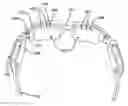 Fig. 01 - SPECTACLES FOR LIGHT THERAPY