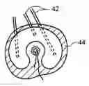 Fig. 01 - Biologic diarthrodial joint