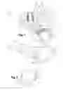 Fig. 02 - Prosthetic material for replacing at least one portion of the radial glenoid of a radius